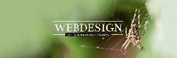 Afbeelding › Le Tigre Webdesign Holland